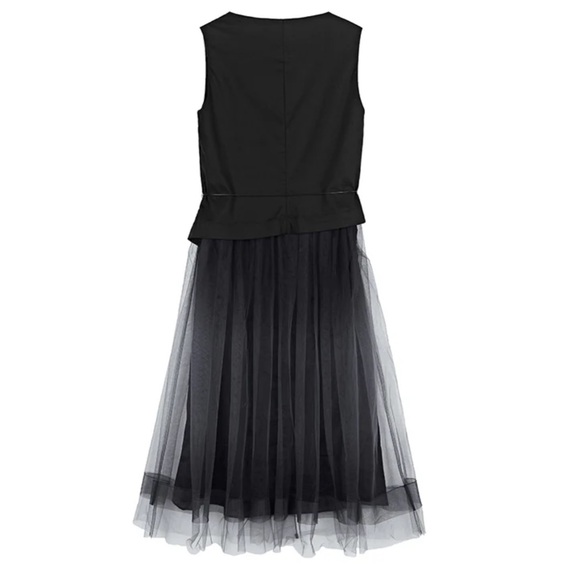 Stacked Neckline Mesh Sleeveless Dress (NWOT) - Picture 3 of 7